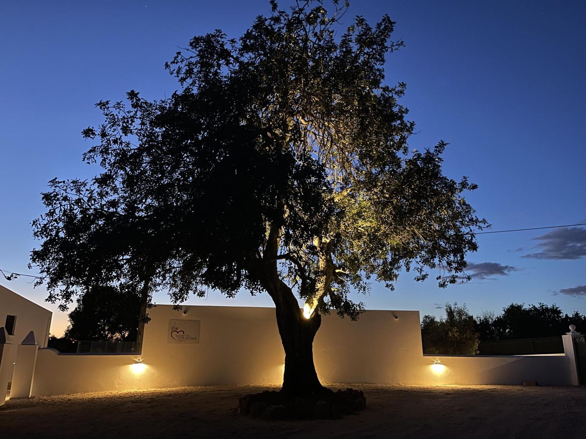 Monte Geracoes - Heated Pool - Typical Algarvian - Close To Quinta Lago, Vale Lobo And Vilamoura Almancil Kültér fotó